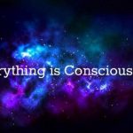 Consciousness as a Development Indicator