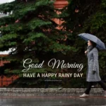 Sunday Morning